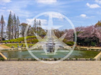 世田谷区池尻の公園