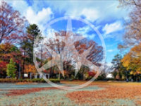 世田谷区上北沢の公園