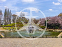 世田谷区三宿の公園