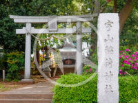 桜丘の神社