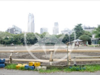 世田谷区弦巻の人気エリア