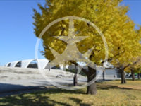 世田谷区深沢の公園