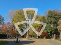 品川区尾山台の公園