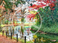 世田谷区桜上水の風景