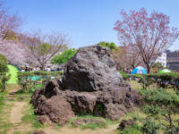 目黒区青葉台の公園