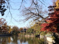 目黒区碑文谷の公園