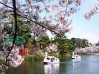 大田区南千束の公園