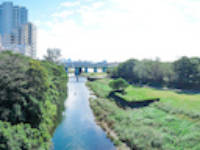大田区矢口の風景