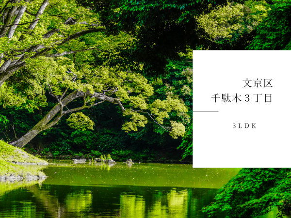 文京区千駄木のおすすめ新築戸建をご紹介