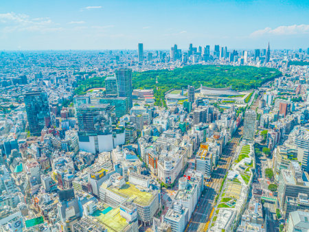 渋谷区大山町のおすすめ分譲土地