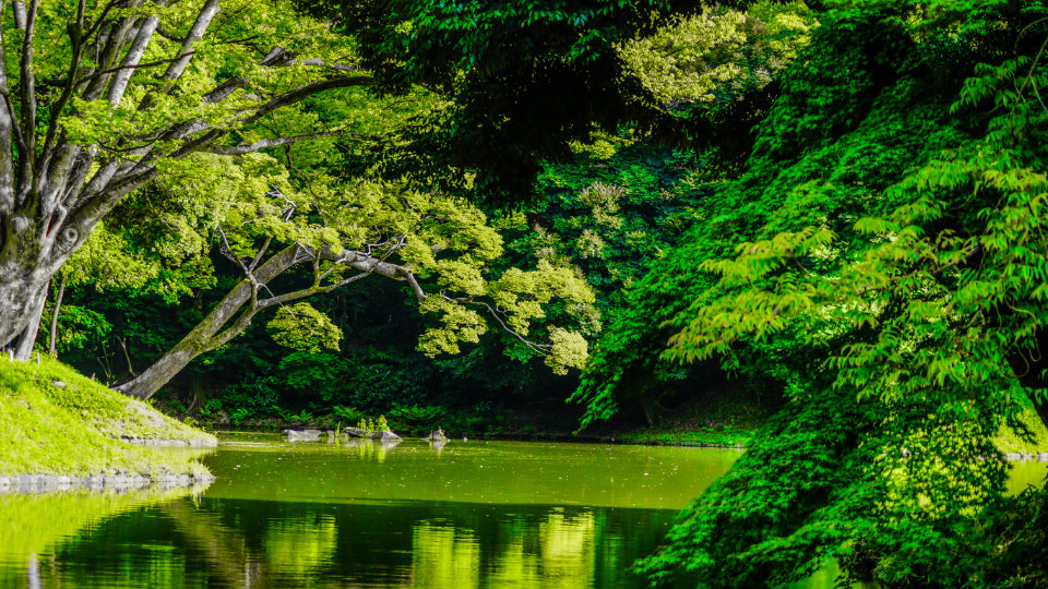 駒込の人気スポット　六義園