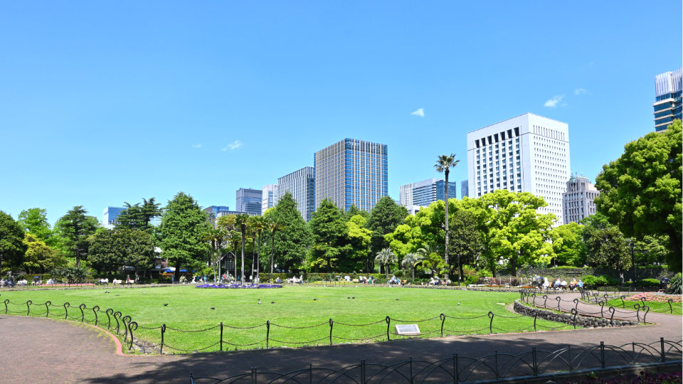 渋谷区の人気スポット　代々木公園中央広場